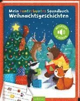 bokomslag Mein kunterbuntes Soundbuch - Weihnachtsgeschichten