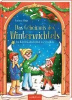 bokomslag Das Geheimnis des Winterwichtels