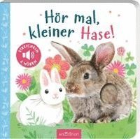 bokomslag Hör mal, kleiner Hase!