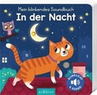 bokomslag Mein blinkendes Soundbuch - In der Nacht