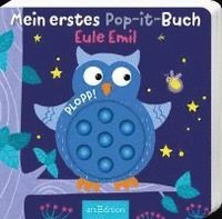 bokomslag Mein erstes Pop-it-Buch - Eule Emil