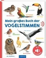 bokomslag Mein großes Buch der Vogelstimmen