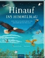 bokomslag Hinauf ins Himmelblau