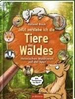 bokomslag Jetzt verstehe ich die Tiere des Waldes