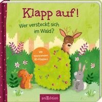 Elena Bruns - Klapp auf! Wer versteckt sich im Wald?, Kartonnage