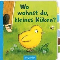 Wo wohnst du, kleines Küken?, Kartonnage
