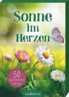 bokomslag Sonne im Herzen