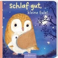 bokomslag Schlaf gut, kleine Eule!