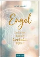 Engel 1