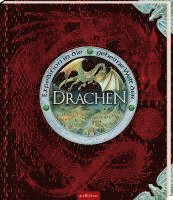 bokomslag Expedition in die geheime Welt der Drachen