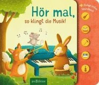 bokomslag Hör mal, so klingt die Musik!