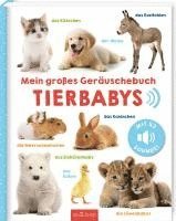 bokomslag Mein großes Geräuschebuch - Tierbabys