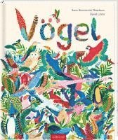 Vögel 1