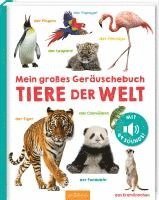 Mein großes Geräuschebuch - Tiere der Welt 1