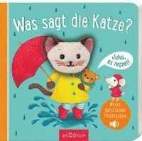 bokomslag Meine sprechende Fingerpuppe: Was sagt die Katze?