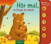 bokomslag Hör mal, so klingt der Wald!