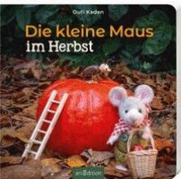 Outi Kaden - Die kleine Maus im Herbst, Kartonnage