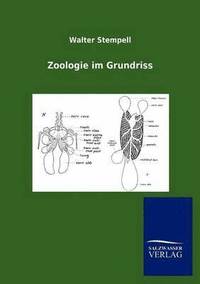 bokomslag Zoologie im Grundriss