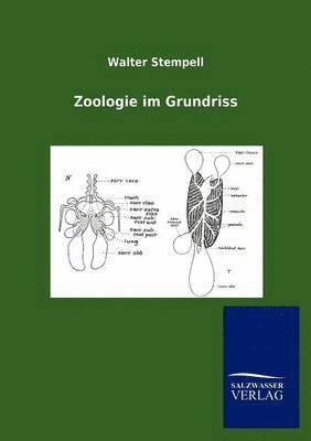 Zoologie im Grundriss 1