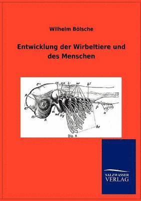 bokomslag Entwicklung der Wirbeltiere und des Menschen