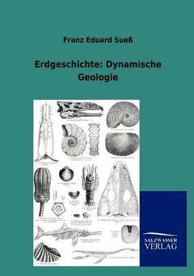 bokomslag Erdgeschichte