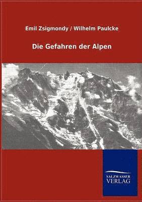 bokomslag Die Gefahren der Alpen