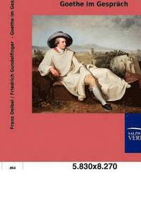 bokomslag Goethe im Gespräch