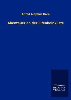 bokomslag Abenteuer an der Elfenbeinküste