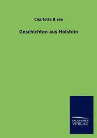 bokomslag Geschichten Aus Holstein