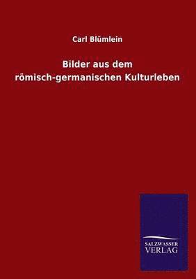 Bilder aus dem römisch-germanischen Kulturleben 1