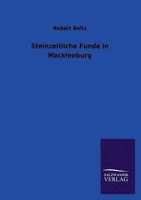 bokomslag Steinzeitliche Funde in Mecklenburg