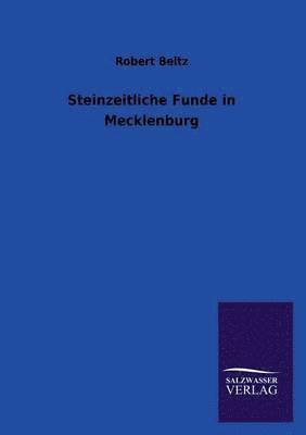 bokomslag Steinzeitliche Funde in Mecklenburg