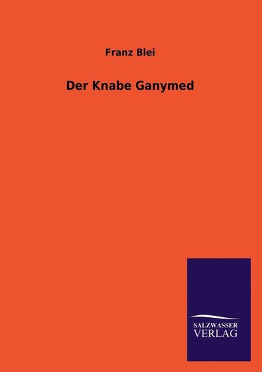bokomslag Der Knabe Ganymed
