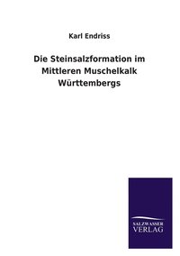 bokomslag Die Steinsalzformation im Mittleren Muschelkalk Wrttembergs