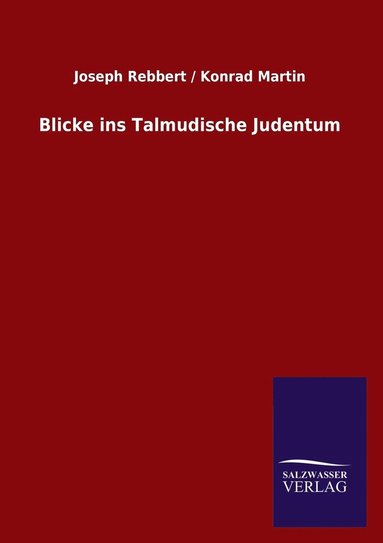 bokomslag Blicke ins Talmudische Judentum