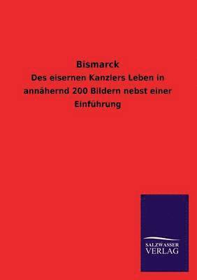 bokomslag Bismarck