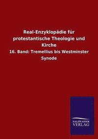 bokomslag Real-Enzyklopdie fr protestantische Theologie und Kirche