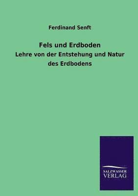 Fels Und Erdboden 1