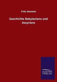 bokomslag Geschichte Babyloniens Und Assyriens