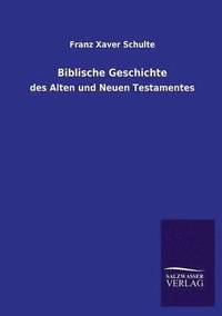 bokomslag Biblische Geschichte