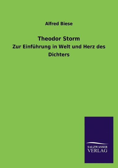 bokomslag Theodor Storm