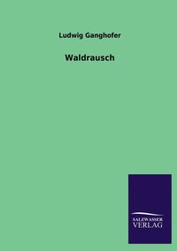 bokomslag Waldrausch