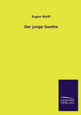 bokomslag Der junge Goethe