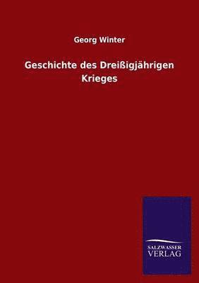 bokomslag Geschichte Des Dreissigjahrigen Krieges