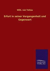 bokomslag Erfurt in seiner Vergangenheit und Gegenwart