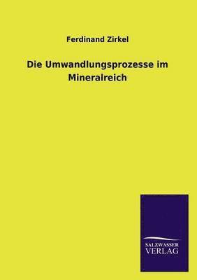 bokomslag Die Umwandlungsprozesse im Mineralreich