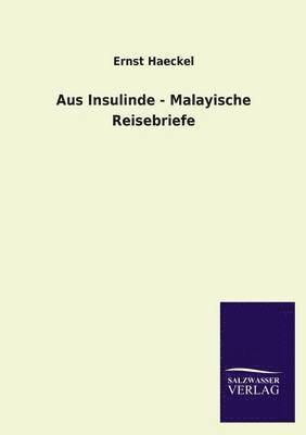 bokomslag Aus Insulinde - Malayische Reisebriefe