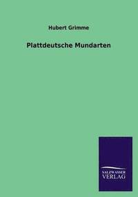bokomslag Plattdeutsche Mundarten
