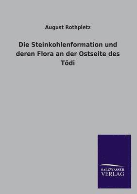 bokomslag Steinkohlenformation Und Deren Flora an Der Ostseite Des Todi