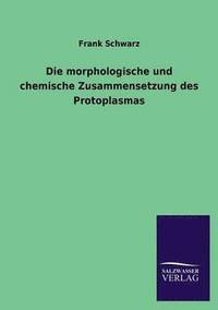 bokomslag Die Morphologische Und Chemische Zusammensetzung Des Protoplasmas